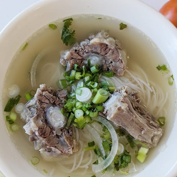 Now Phở oxtail pho with rice noodles, green onions, and cilantro in a white bowl.